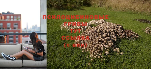 Альфа ПВП Арсеньев