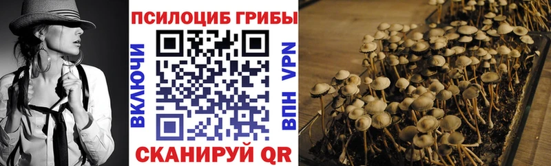 Псилоцибиновые грибы Magic Shrooms  цены   Обнинск 
