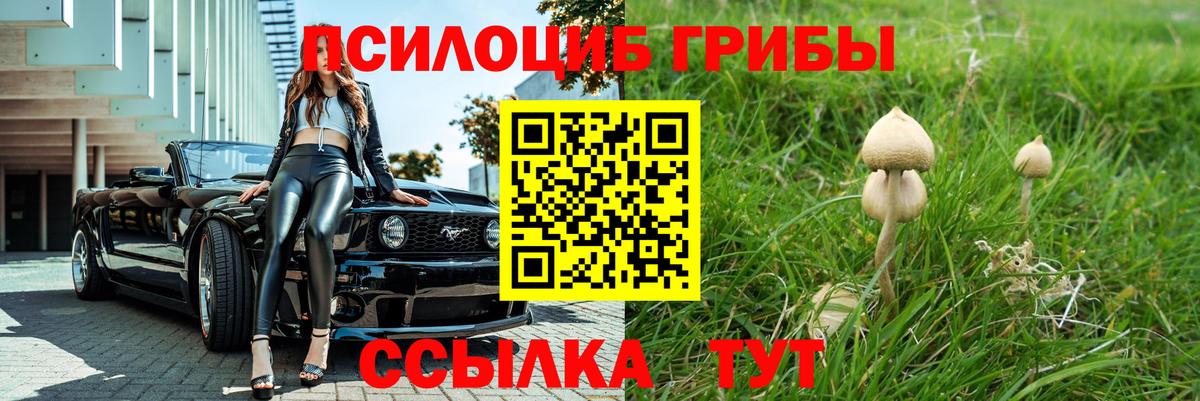 Обнинск  Псилоцибиновые грибы мицелий  Вход с VPN  Галлюциногенные грибы Psilocybine cubensis 