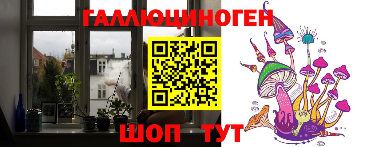 Галлюциногенные грибы Cubensis Обнинск